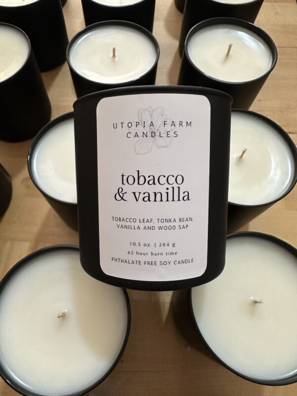 Tobacco & Vanilla