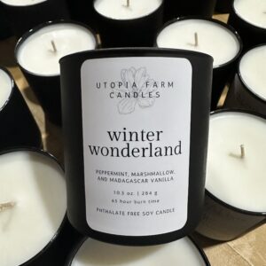 Winter Wonderland