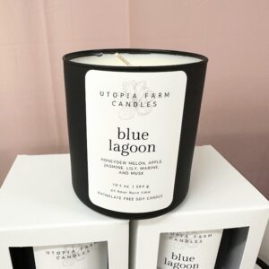 Blue Lagoon
