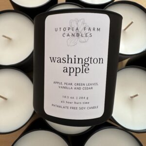 Washington Apple