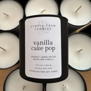 Vanilla Cake Pop
