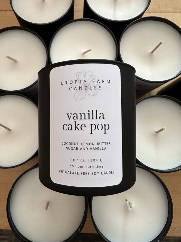 Vanilla Cake Pop