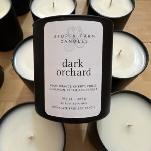 Dark Orchard