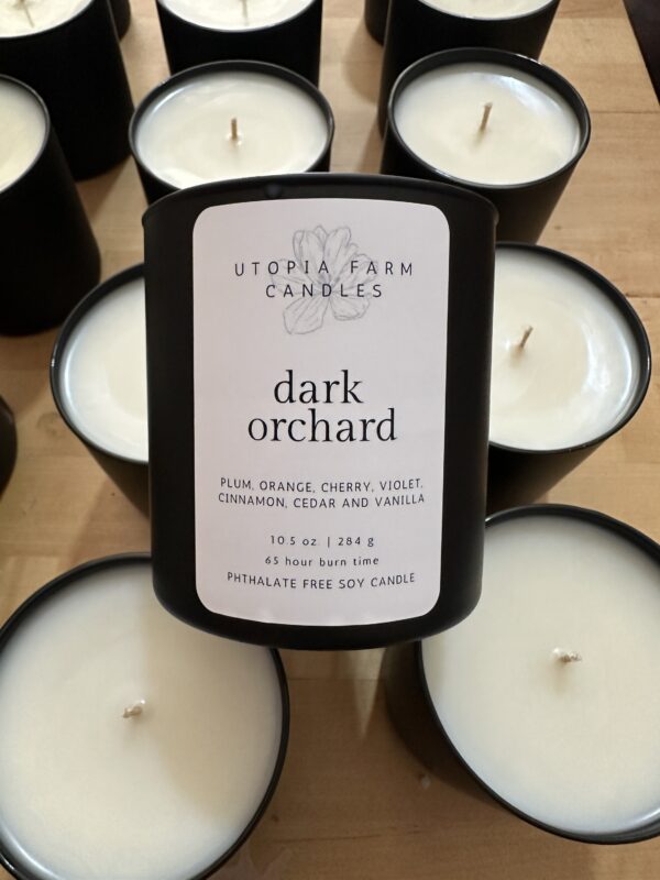 Dark Orchard