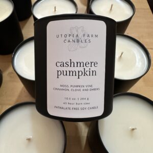 Cashmere Pumpkin