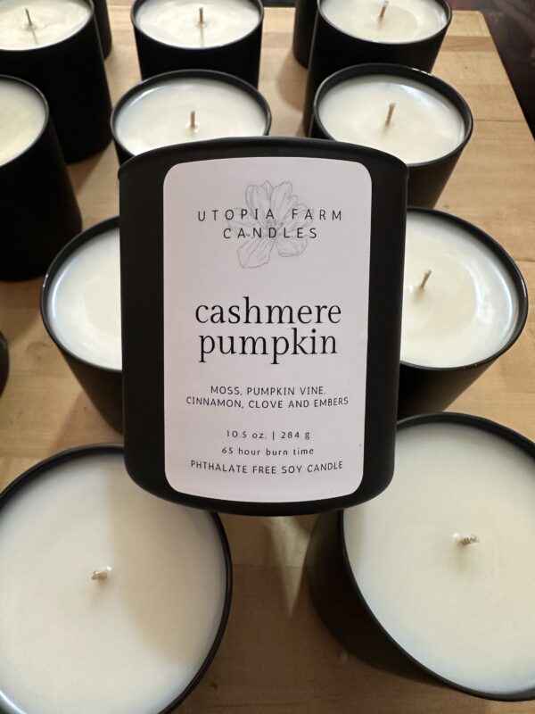 Cashmere Pumpkin