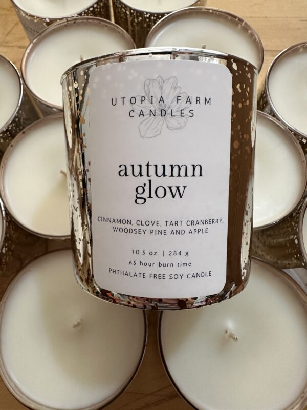 Autumn Glow