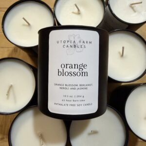 Orange Blossom
